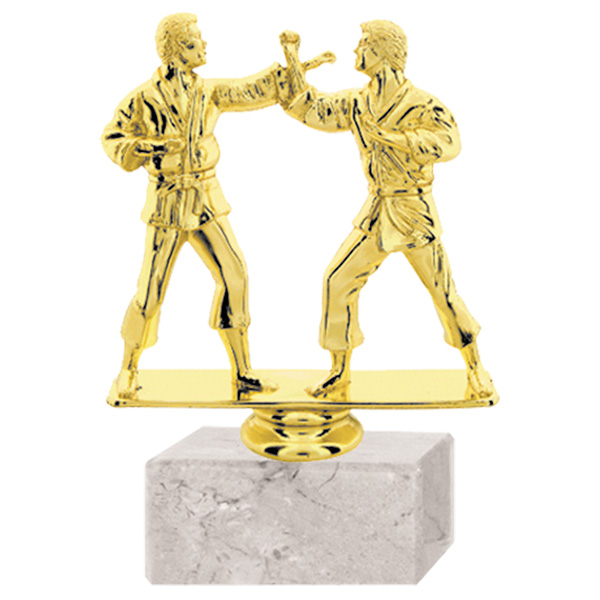 Trofeo plástico Karate Doble RP-8095